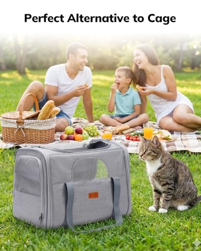 Morpilot Transportbox Katze Katzen transportboxen, Faltbare katzentasche transporttasche, hundetragetasche Transporttasche mit Einstellbar Schultergurt katzenbox für Katzen Kleiner Hund Welpe