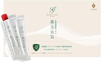 善玉元気 未開封2箱+25包 2025.12.19まで 善玉元気 未開封2箱+25包 2025.12.19まで 善玉元気 2箱 善玉元気 未