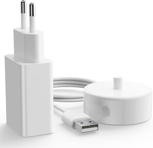Chargeur USB la Brosse à Dents électrique Compatible ave Base