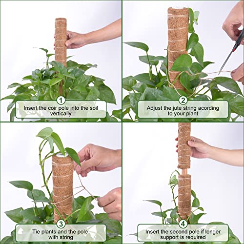 Vicloon Moss Pole, 2pcs Coir Totem Pole, Coir Moss Stick Plant Totem Moss Sticks for Indoor Plants Climbing Creepers - Image 4