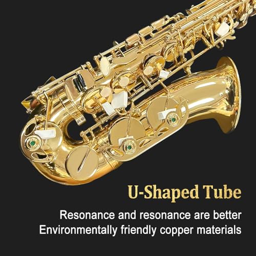 Image of Beginner Alto Saxophone, E Flat - Complete Starter Kit with Case & 10 Reeds, for Adults & Students, Easy to Play for School Band & Practice(Gold)