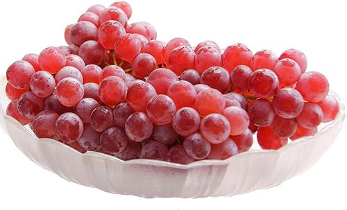 [令和8年産先行予約] デラウェア 約1kg(5〜6房) 山形県鶴岡市産 ヤマトク