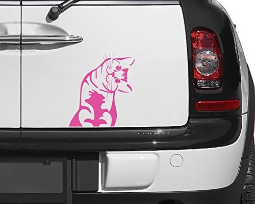 Yadda-Yadda Design Co. Cat - Whatcha Doin? - I Can Haz? - Car Vinyl Decal Sticker (5.5" w x 6" h) (Color Variations Available) (Pink)