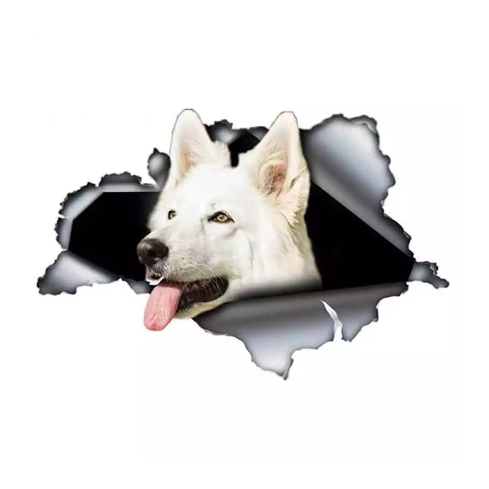 Französische Bulldogge Aufkleber, 3D Zerrissener Effekt, Was