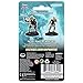 NECA D&D Nolzurs Marvelous Unpainted Miniatures: Wave 1: Human Female Barbarian