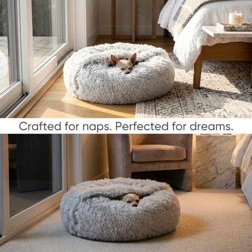 Image of Himax Small Cat & Dog Bed with Cover, Calming Dog Bed for Small Dogs,Anti-Anxiety Donut Dog Bed with Attached Blanket,Washable Round Fluffy Pet Bed (20 inch /26 inch /35 inch), Light Grey