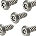 Fastenere Torx Security Sheet Metal Screws - #8 x 1