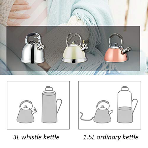 Bouilloire induction en acier inoxydable à chauffage rapide et uniforme