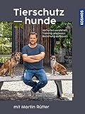 Tierschutzhunde: Von der Adoption über die Eingewöhnung bis zum harmonischen Zusammenleben