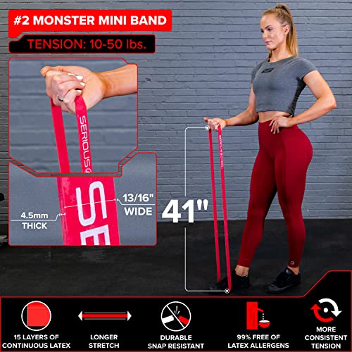 Image of SERIOUS STEEL FITNESS Assisted 41 inch Pull-Up Band, Resistance & Stretch, Powerlifting & Pull-up Assist Loop (Single Band)