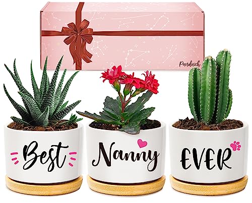 Nanny Birthday Gifts - Best Nanny Ever Succulent Plant Pot - Gifts for Nan from Grandchildren for Birthday Mothers Day Christmas Arrives Beautifully Gift Boxed
