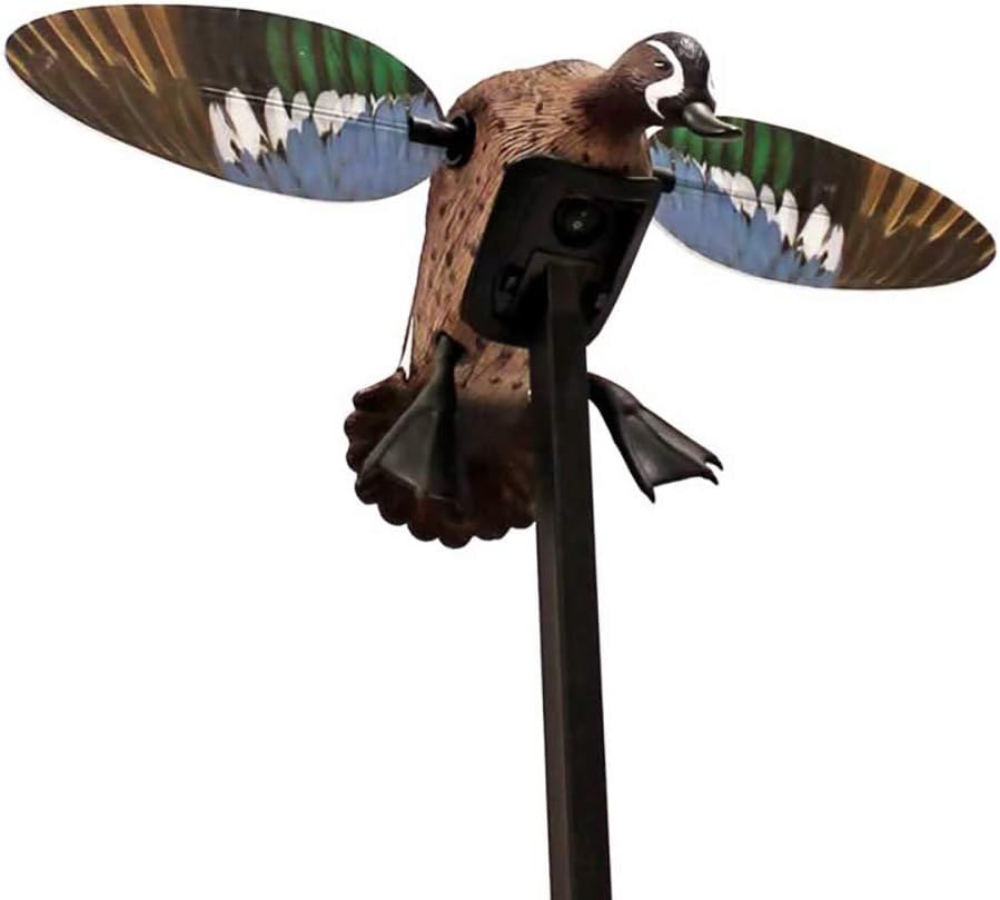 MOJO Outdoors Blue Wing Teal Decoy, Hunting Gear and Accessories - Remote Ready