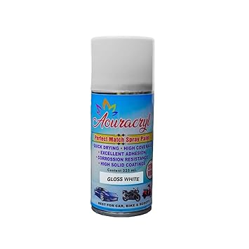 Spray Paint Gloss White-225 ml (Pack of 1), For Bike, Cars, Furnitures, art and craft Paint work
