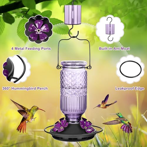 Image of FEED GARDEN Glass Hummingbird Feeder for Outdoors Hanging, 16 oz Leak-Proof Nectar Feeder with Bee Guards & Ant Moat, 4 Metal Flower Feeding Ports, 360 Perch Ring, Easy Refill & Clean, Purple 2 Pack