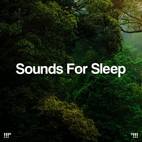 Amazon Music Sleep Sounds Of Nature & Yogaの"!!! Sounds For Sleep