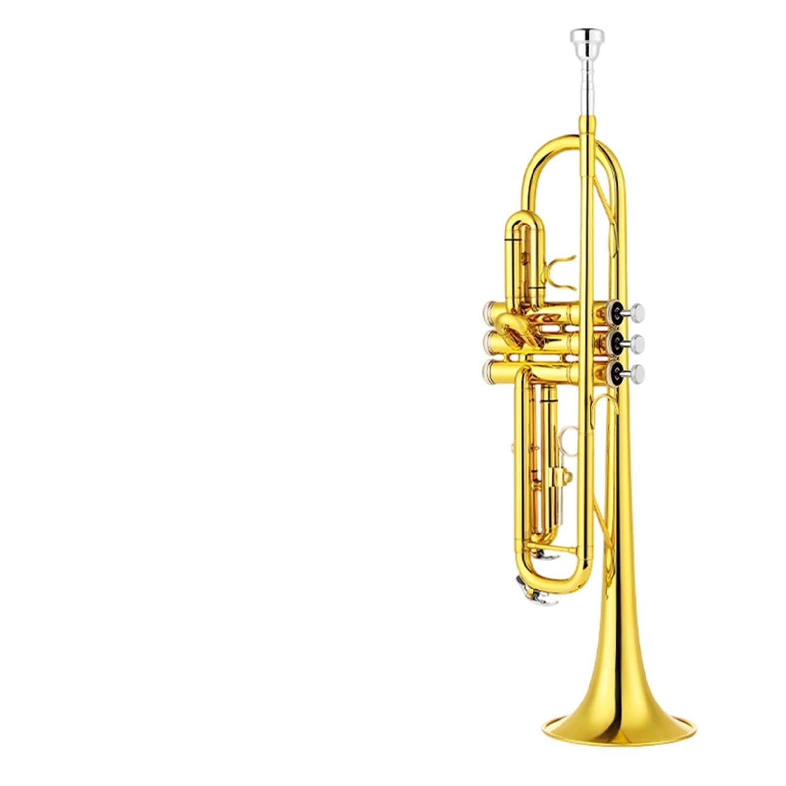 Professional Trumpet Trompeta en si bemol para principiantes