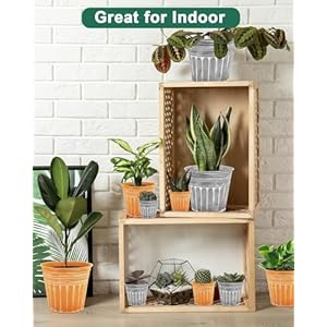 vensovo 7 Inches Silver Metal Rustic Flower Pots - 6 Pcs Medium Galvanized Planters with Drainage Hole and Rubber Plug, Rustproof Tin Bucket Plant Pot Farmhouse Vintage Style for Decor vensovo 7 Inches Silver Metal Rustic Flower Pots 6 Pcs Medium Galvanized Planters with Drainage Hole and Rubber Plug Rustproof Tin Bucket Plant Pot Farmhouse Vintage Style for Decor