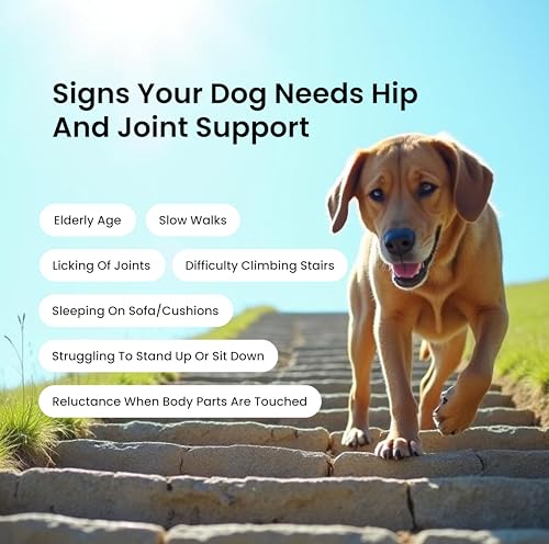Image of Absolut Pet Hip and Joint-Supplements for Dogs Chews That Improve Mobility & Bone Strength with Glucosamine (Hip & Joint Chews + Bone Broth)