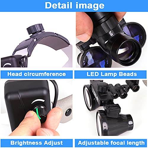 View 5