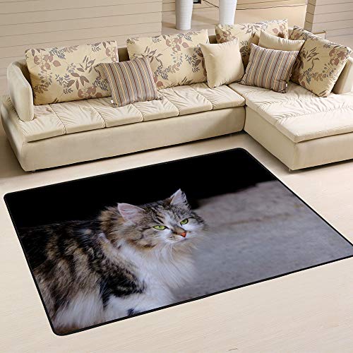 Tapis de salon en fourrure pour chat en velours corail Ruchen 152x99 cm - 6