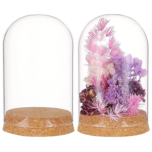BENECREAT 2 Set Glass Display Dome with Cork Base, 3.14x4.6 inch Tabletop Centerpiece Cloche Bell Jar for Flower Plants, Specimens, Crafts Decorations, Inner Diameter: 76mm