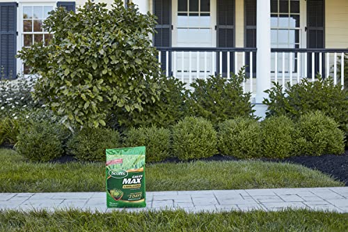 Image of Scotts Green Max Lawn Food, 33.33 lbs.(2-Pack) | Lawn Food Plus Iron Supplement for Deep Greening