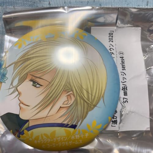 ꡂȂ鎞̒4 iW^E ~jQ[ ʃobW ߊ