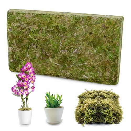 Musgo Sphagnum Puro 200g, Sustrato Premium para Orquídeas como Phalaenopsis, Musgo para Terrarios Reptiles Tortugas como Sustrato Húmedo, Material Natural para Bonsáis Decoración y Manualidades