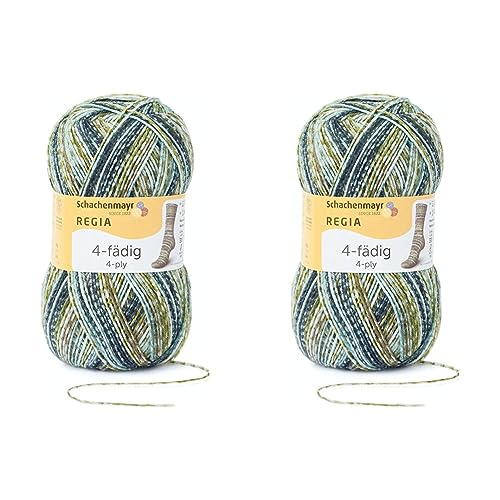 Regia Schachenmayr 4-Fädig Color, 100G sage Handstrickgarne (Packung mit 2)