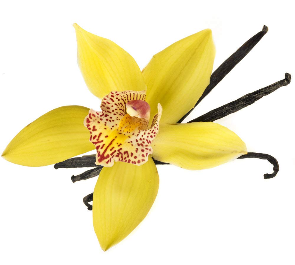 Mystic Moments Arnica Infused in Sunflower Oil - 250ml