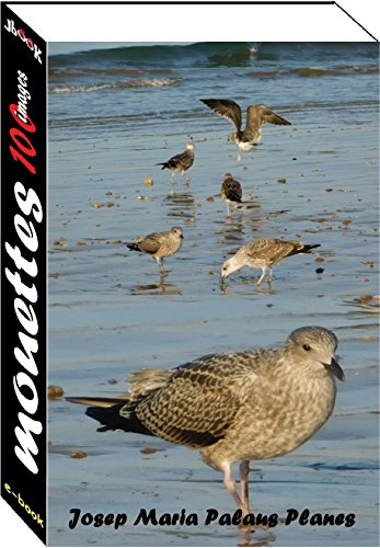 Télécharger Mouettes (100 images) PDF Ebook En Ligne