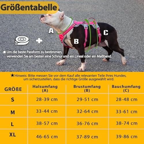 Hunde Sicherheitsgeschirr, Hundegeschirr kleine hunde, Reflektierendes Geschirr mit Gepolstertem Griff, Wasserdicht, Verstellbare Weste für Kleine Hunde Zum Gassi Gehen, Trainieren (Rosenrot,S)