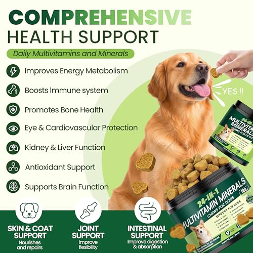 24-in-1 Dog Vitamins and Supplements, Dog Multivitamin Chewable for All Dog | Chondroitin Probiotics Omega-3 Glucosamine for Skin Coat Hip Joint Heart Gut Liver Brain Eye Immune Health, 90 Chews Chicken - Image 3