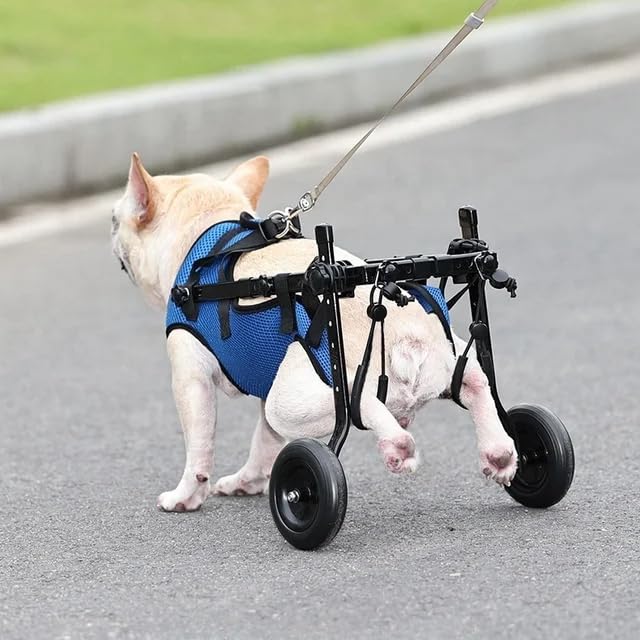 Image of Small Dog Wheelchair for Back Legs, Adjustable Dog Leg Brace and Hip Support, Size S