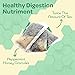 True Honey Peppermint Tea Bags - Honey Crystals Blended in Every Sachet - Healthy Digestion Nutriment - All Natural Organic Herbal Caffeine Free Tea Bag 24 Count…