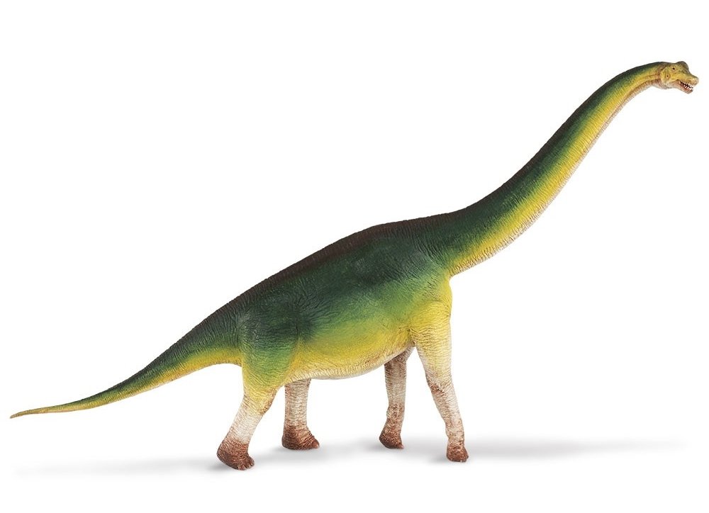 Amazon | Safari (サファリ) ブラキオサウルス 恐竜 フィギュア 300229