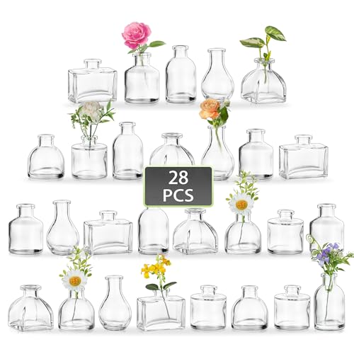 Hewory Glass Small Vase for Flowers: 28pcs Wedding Bud Vases Single Flower Vase for Table Decoration - Mini Vases Set Glass Bottles for Room Decor Home Birthday Party Baby Shower