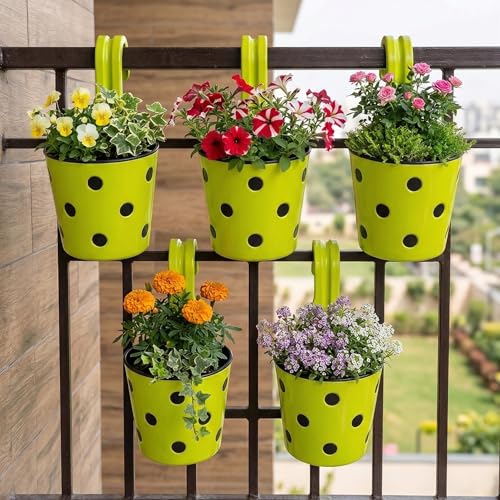 Image of Premium Hook Planter with Inner Pot | Polka Dot Hanging Planter for Balcony & Railings | Sturdy Plastic | Built-in Drainage | Vibrant Colours | Indoor & Outdoor Gardening (5, Green)