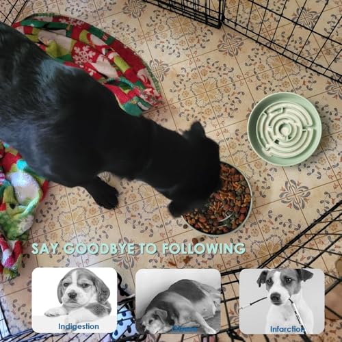 Anti Schling Napf für Hunde und Katzen I Slow Feeder I Leckmatte Hund mit großem Saugnapf I Schleckmatte Katze für Nassfutter (Hellgrün)