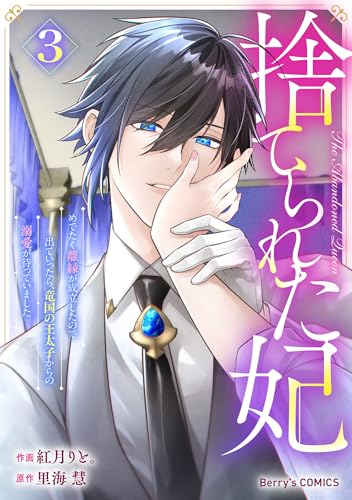 捨てられた妃　めでたく離縁が成立したので出ていったら、竜国の王太子からの溺愛が待っていました3巻 (Berry's COMICS)