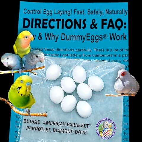 Plastic Budgie Eggs Stop Brooding Laying! 8 Dummy Eggs for Budgerigar Parakeet, Parrotlet, Diamond Dove DE Brand USA Cover