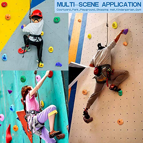 image for Newtion 25 Multi-Size Rock Climbing Holds for Kids and Adult,DIY Rock 