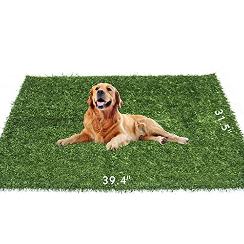 puppy grass pad