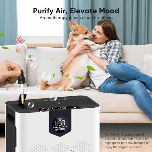 DAYETTE Air Purifier with H14 HEPA