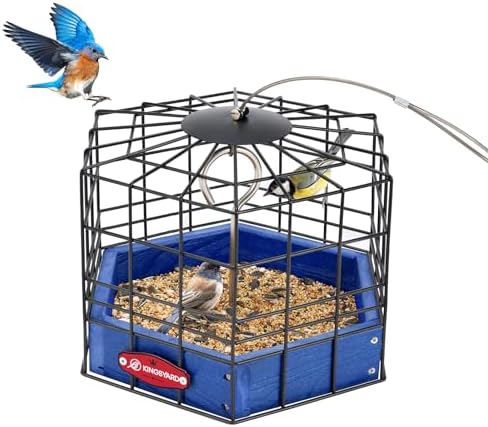 bird feeder for bluebirds that will transform your backyard experience 8 Kingsyard Squirrel Proof Platform Bird Feeder for Outdoor Hanging, Caged Bird Feeder for Bluebird Mealworm, Recycled Plastic Feeding Platform with Metal Mesh Tray, Special for Small Birds, Blue