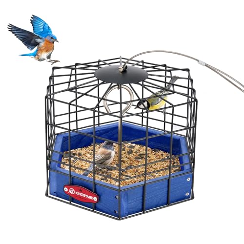 Kingsyard Squirrel Proof Platform Bird Feeder for Outdoor Hanging, Caged Bird Feeder for Bluebird Mealworm, Recycled Plastic Feeding Platform with Metal Mesh Tray, Special for Small Birds, Blue