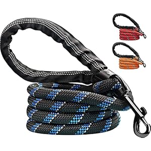 Candure Correa Perro con Mango Acolchado Suave y Nylon Sólido/Larga Reflectante Cuerda 5 ft Correas Perros Grande, Medianos y Pequeño – Adecuado para Adiestramiento,Correr y Senderismo (Negro)
