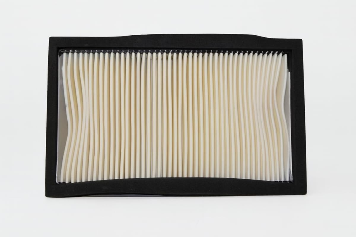 Air Filter Compatible with Jawa 42-picture-33