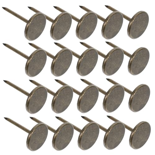 FUNOMOCYA Picture Hanging Nails Decorative Thumb Tacks 100pcs Flat Head Nails for Wall Push Tacks for Wall Hangings