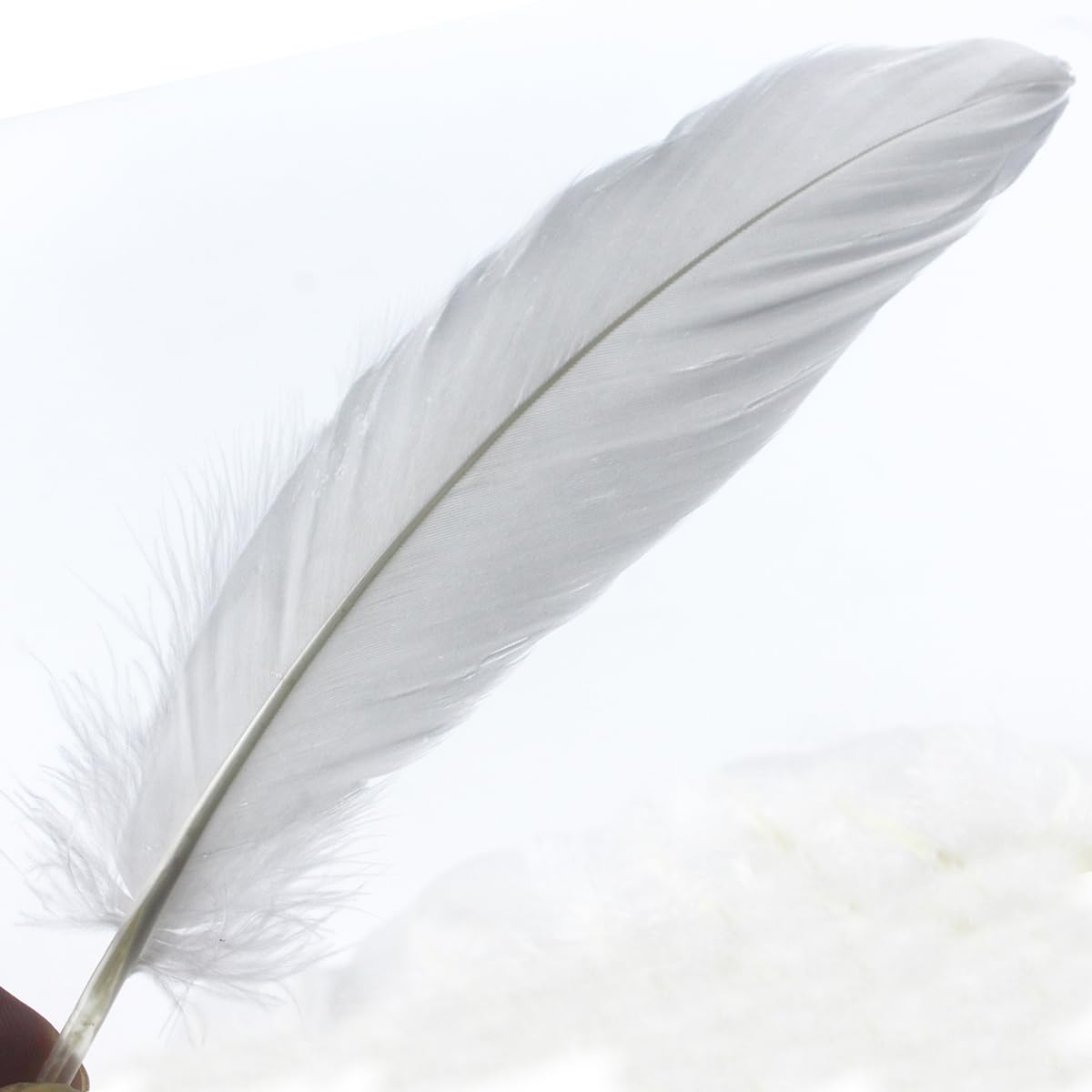 15-20cm 50 PCS White Feathers Natural Goose Feathers for DIY Wedding Decorations Angel Wings & Fairy Crafts - Image 2